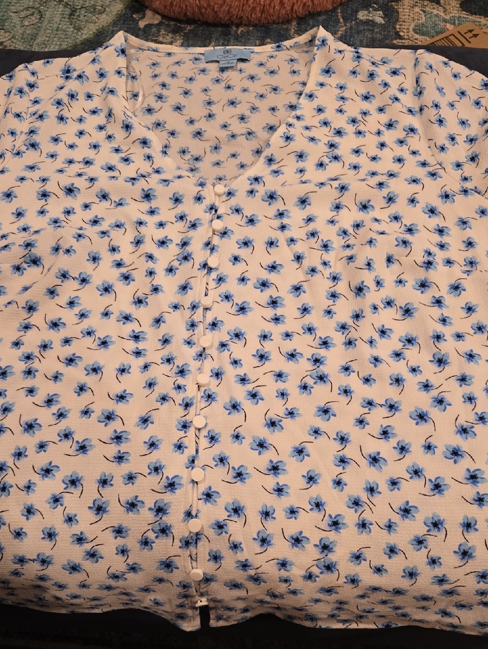 Ce Ce Cream Blouse with Blue Floral Print
